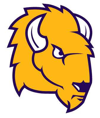 Lipscomb Bisons 2012-Pres Secondary Logo diy iron on heat transfer